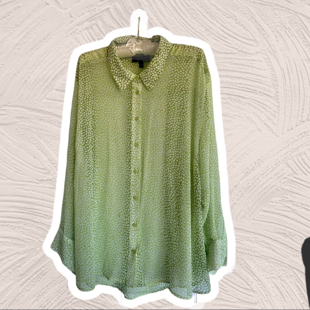 26W/28W Spring green button down blouse.